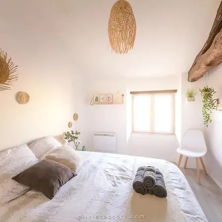 Cozy Appartement - Calme - Hypercentre - Gaillac Exterior photo