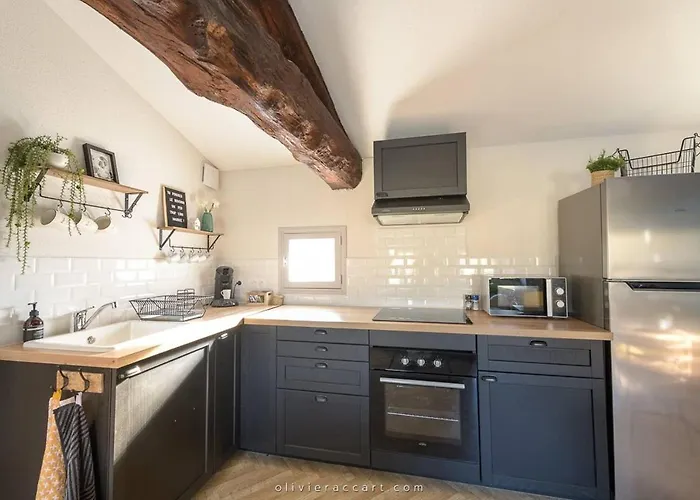 Cozy Appartement - Calme - Hypercentre - Gaillac
