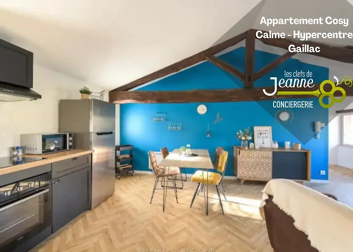 Cozy Appartement - Calme - Hypercentre - Gaillac