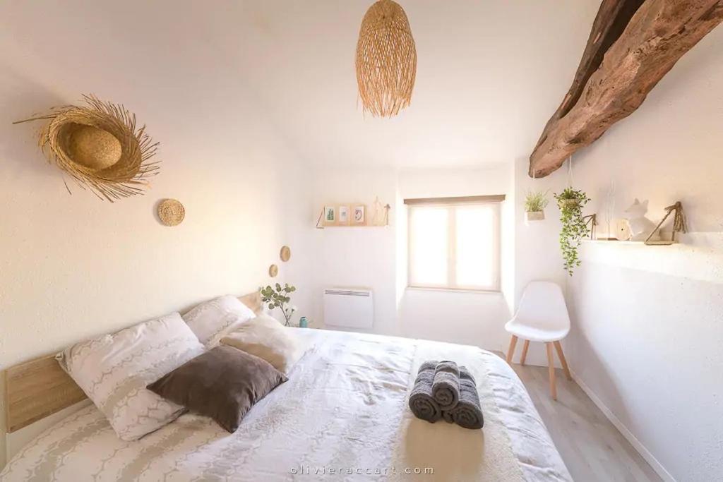 Cozy - Calme - Hypercentre - Apartment